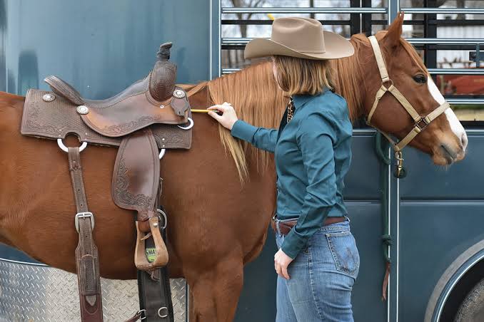 How to Choose the Right Western Saddle for Comfort, Performance, and Long-Term Riding